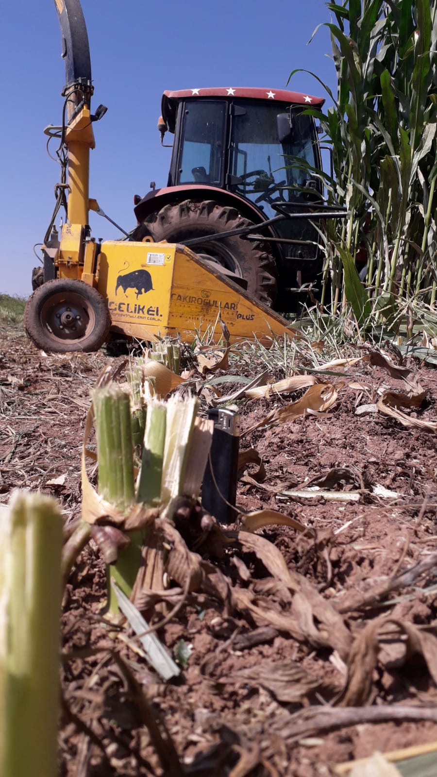 Asaf Tarım ve Hayvancılık